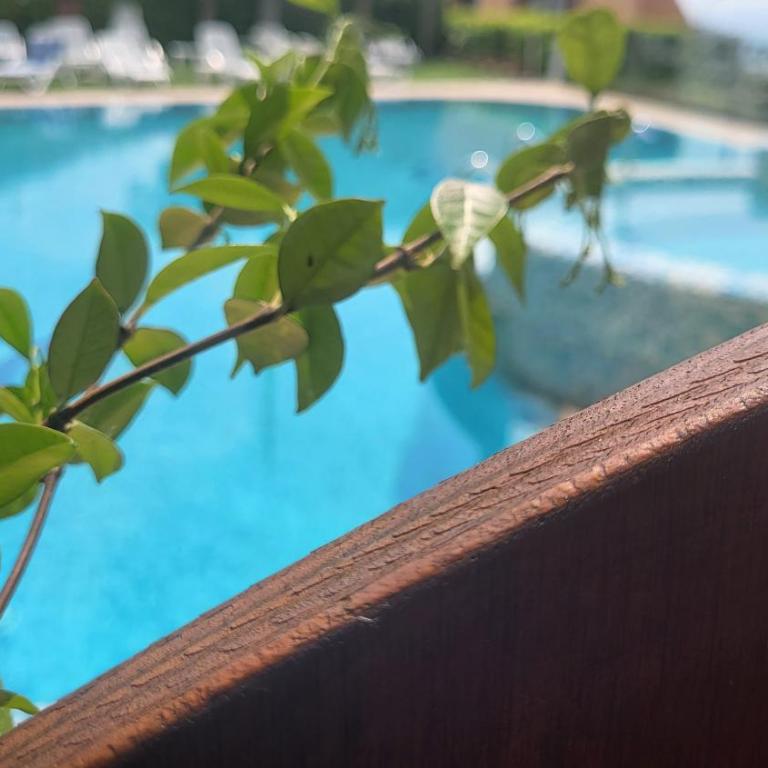 Residence Rosemary - Monolocale Standard - 3