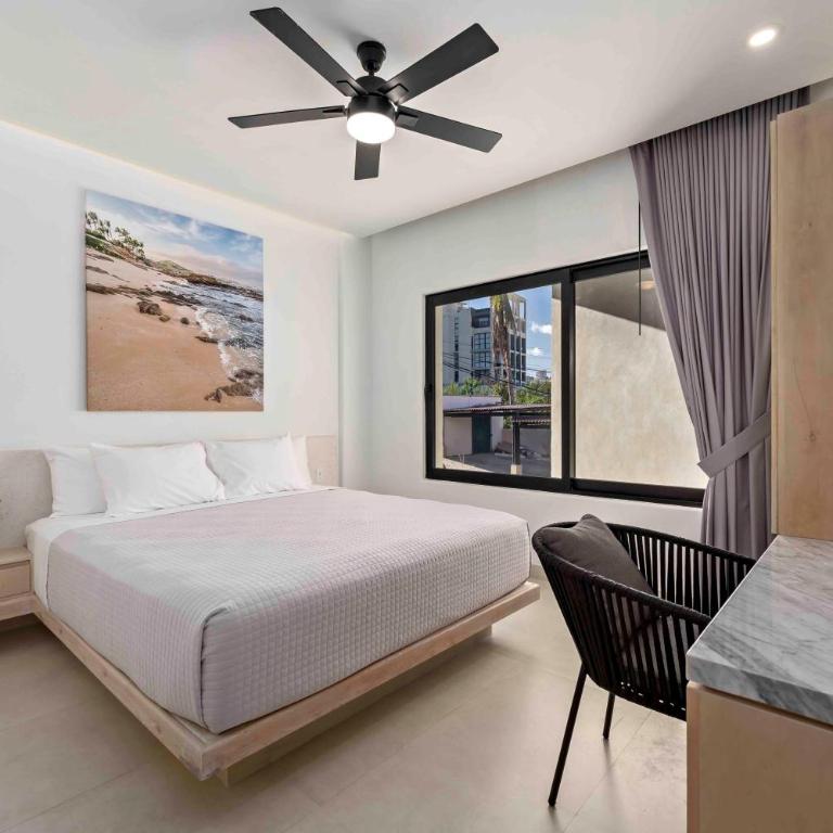 605 Tower Downtown Cabo - Suite Deluxe con cama extragrande - 1