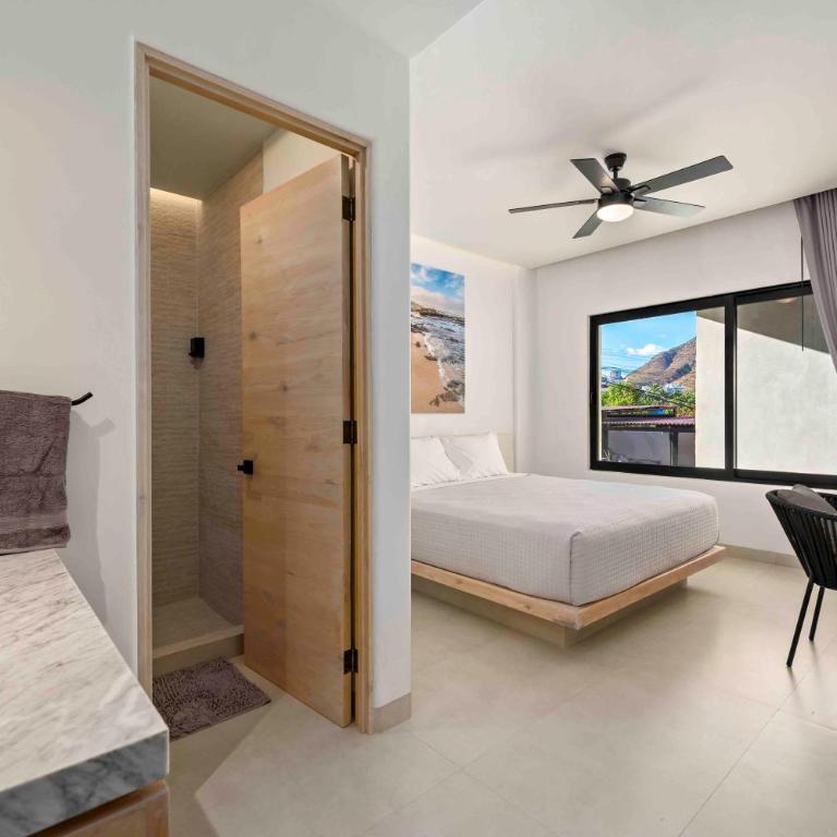 605 Tower Downtown Cabo - Suite Deluxe con cama extragrande - 3