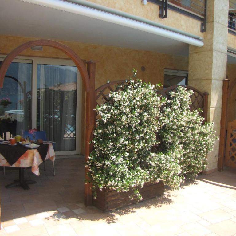 Residence Rosemary - Monolocale Standard - 5
