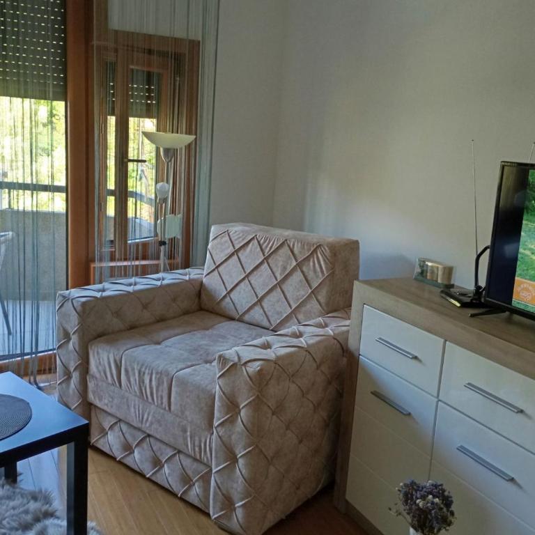 apartman Nevena - Apartman sa 1 Spavaćom Sobom - 4