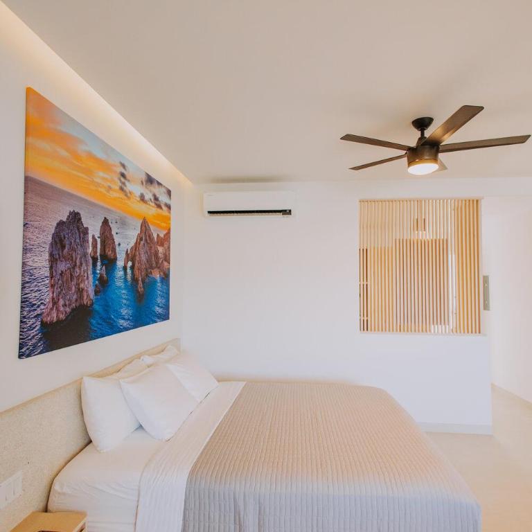 605 Tower Downtown Cabo - Apartamento de 1 dormitorio - 2