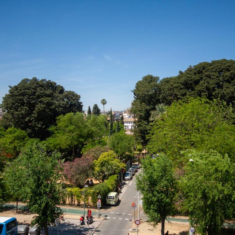 Ohliving Alcazar - Apartamento de 3 dormitorios - 34
