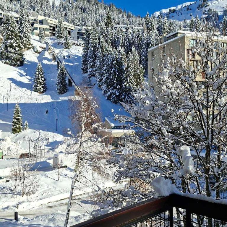 Appartement rénové près des pistes - Balcon, 5/6 pers. - Appartement 1 Chambre - 6