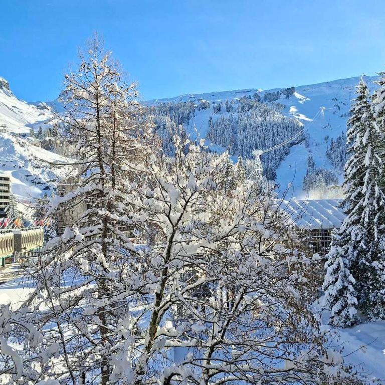 Appartement rénové près des pistes - Balcon, 5/6 pers. - Appartement 1 Chambre - 7