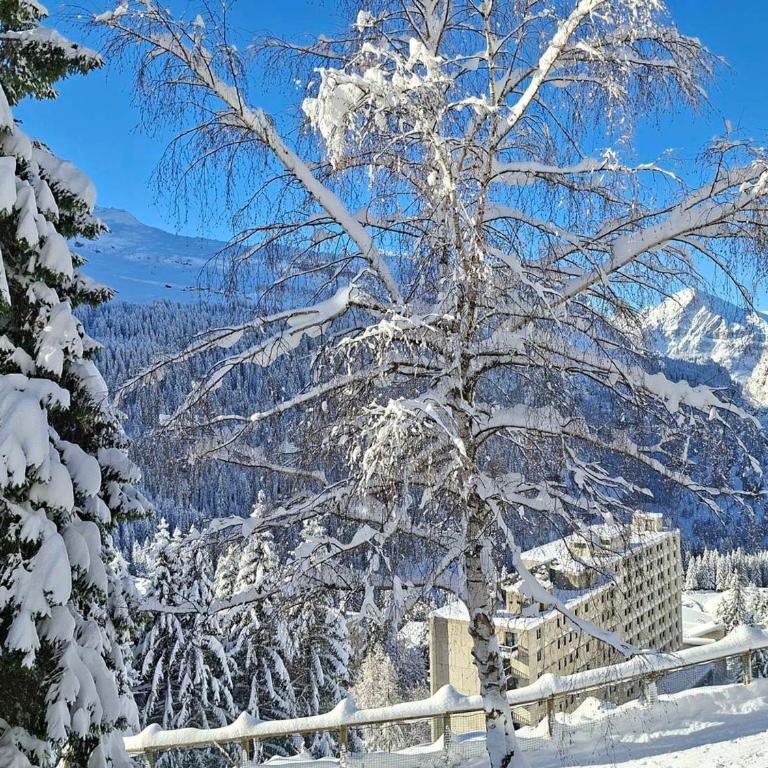 Appartement spacieux au pied des pistes avec balcon et WIFI - FR-1-425-212 - Appartement - 11
