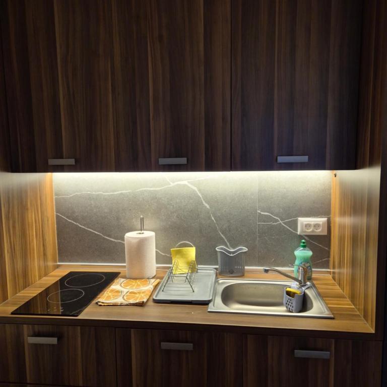 President Kop S9, S3 & A103 - Apartman sa 1 Spavaćom Sobom - 41