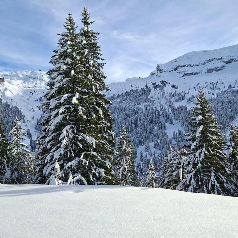 Studio rénové au centre de Flaine avec balcon pour 5 personnes - Studio - 12