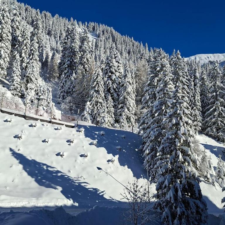 Appartement confortable proche des pistes avec casier à ski - Appartement 1 Chambre - 7