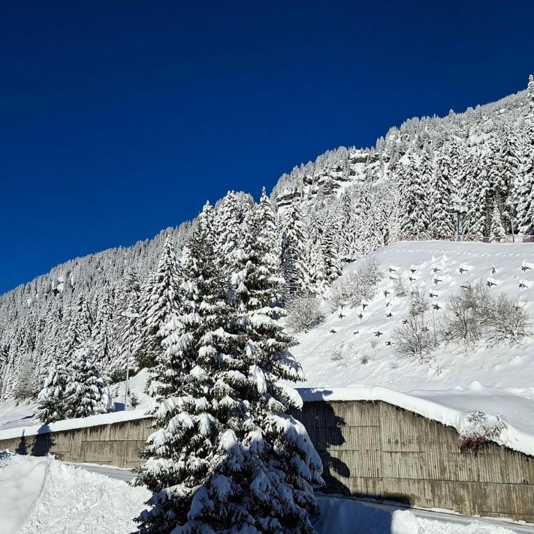 Appartement confortable proche des pistes avec casier à ski - Appartement 1 Chambre - 8