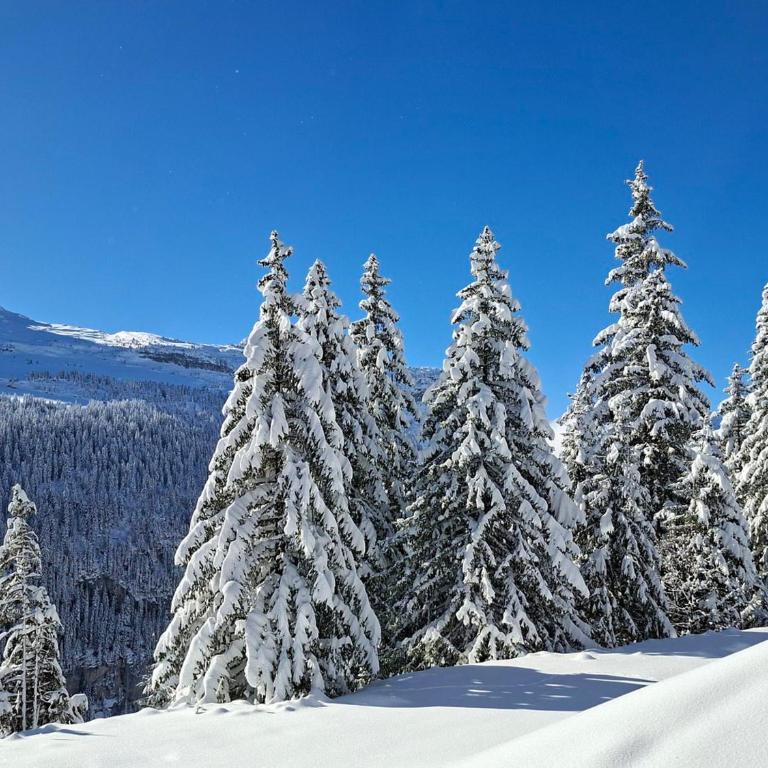 Appartement Confortable 4 Pers. Flaine Centre, Balcon Sud - Appartement 1 Chambre - 13