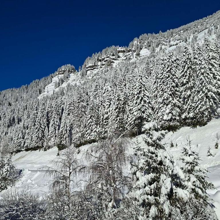 Studio rénové à Flaine - 4 pers. proche des pistes - FR-1-425-178 - Studio - 9