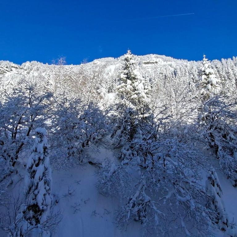 Studio confortable proche des pistes, idéal pour 4 personnes - FR-1-425-182 - Studio - 10