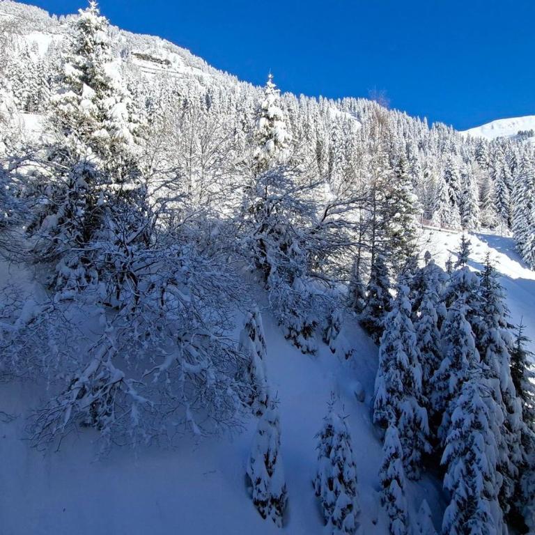 Studio confortable proche des pistes, idéal pour 4 personnes - FR-1-425-182 - Studio - 11