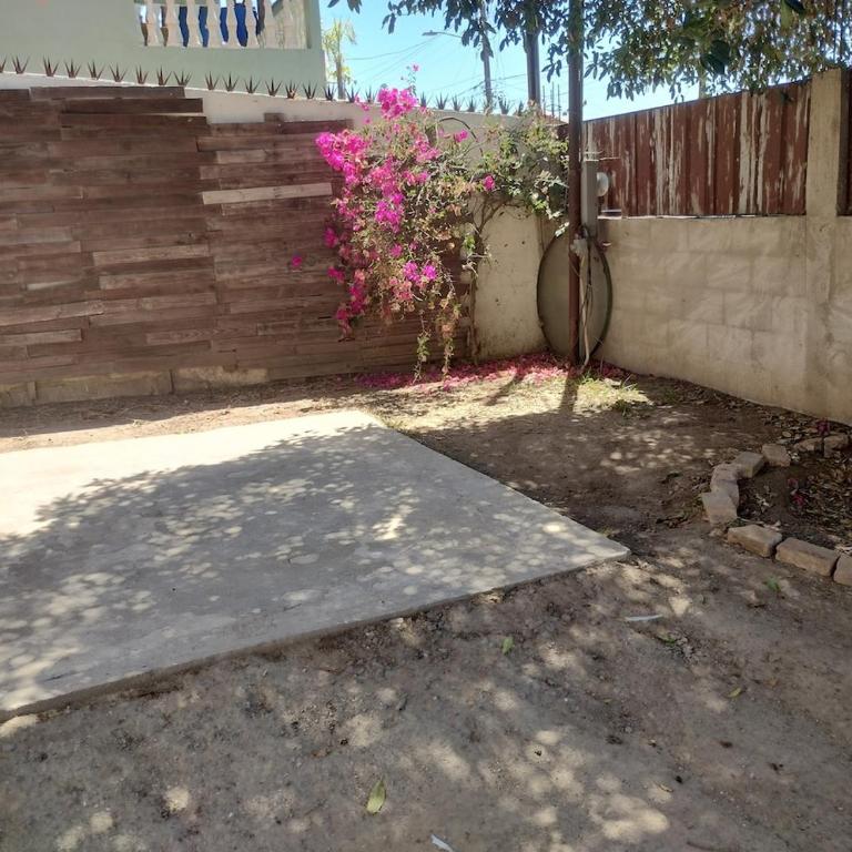 Casa Nostalgia Tree, Patio and Vintage Touch - One-Bedroom House - 8