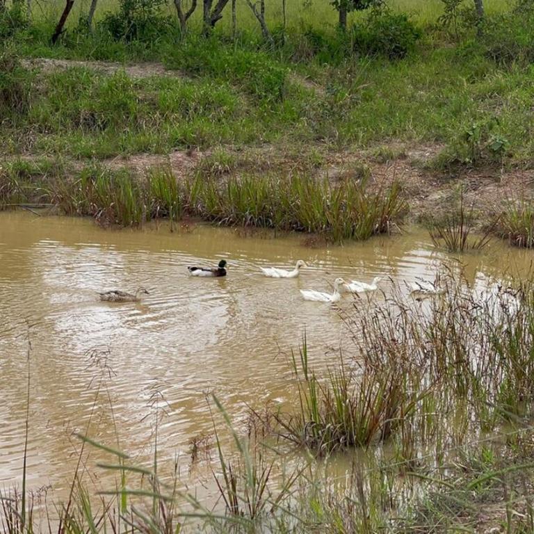 Villa Gmaleju - Villa - 5