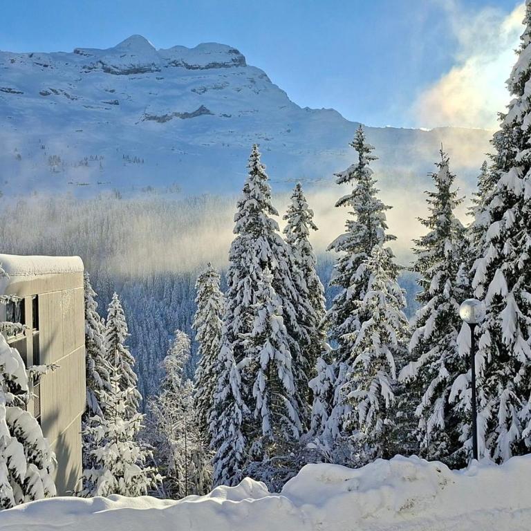 Appartement spacieux au centre station avec balcon, 3 pièces pour 8 personnes - Appartement 2 Chambres - 15