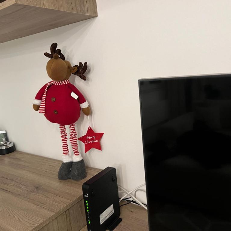 Sanja, Old Town - Apartman sa 1 Spavaćom Sobom - 12