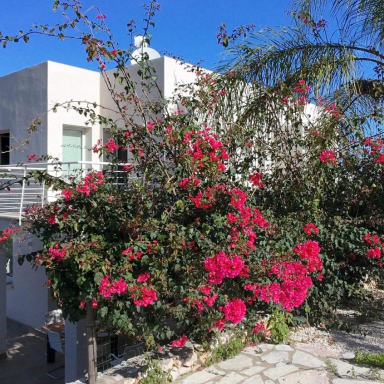 Giardino degli Allori, Villa Manfredi with Pool - Three-Bedroom Villa - 32