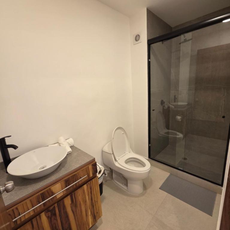 Modern Apartment in Miguel Hidalgo with Balcony - One-Bedroom Apartment with Terrace - 14