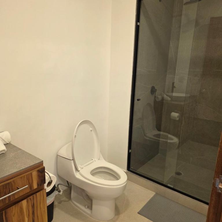 Modern Apartment in Miguel Hidalgo with Balcony - One-Bedroom Apartment with Terrace - 15