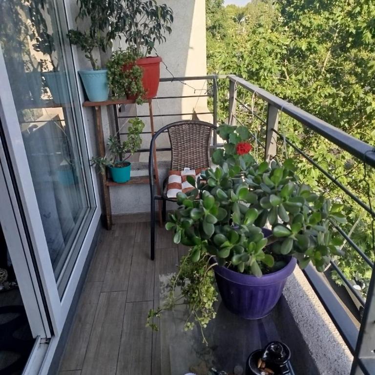 Arena encalada - One-Bedroom Apartment - 11