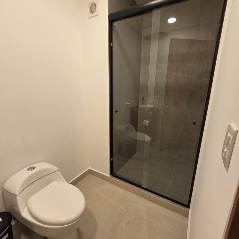 Modern Apartment in Miguel Hidalgo with Balcony - Apartment - 40