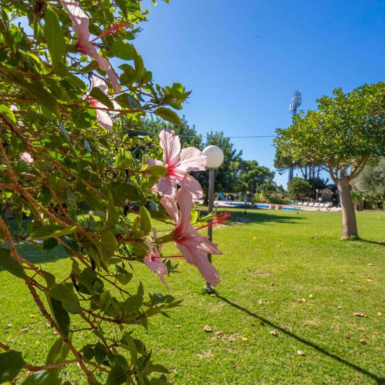 Villa Maganuco Park - Pool, Sea and Garden - Villa - 80