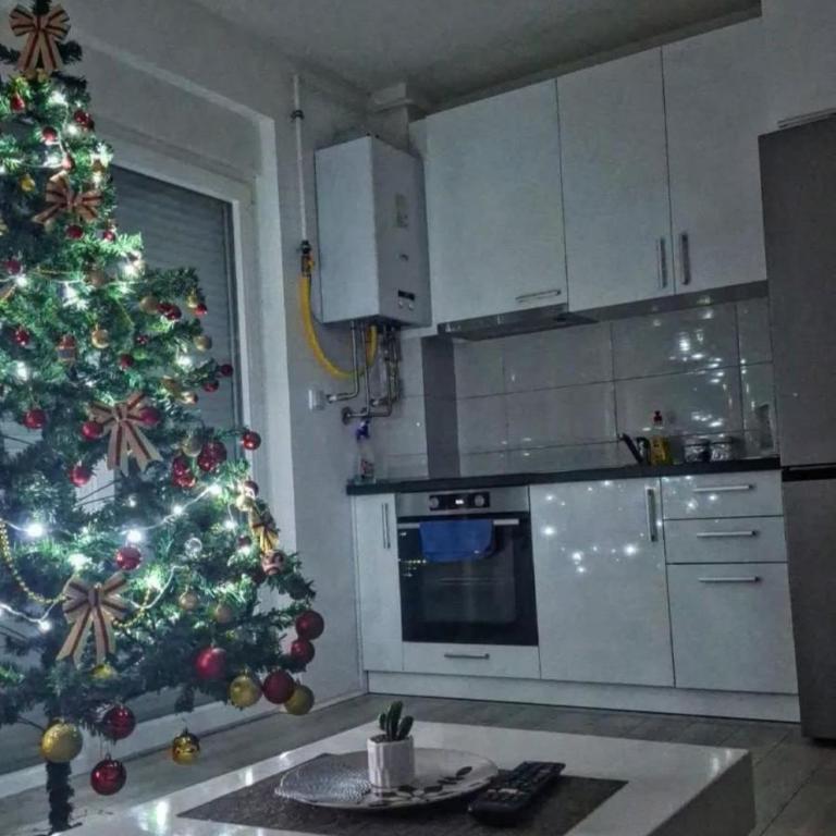 Apartman Nikolic - Apartman sa 2 Spavaće Sobe - 6