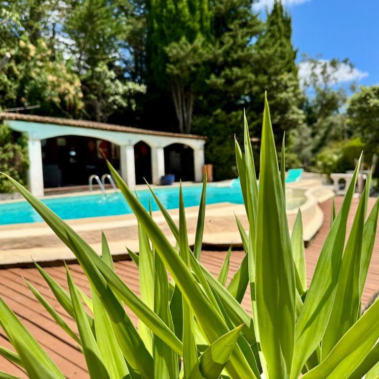 Villa provençale avec vue mer, piscine et CLIM - Villa - 34