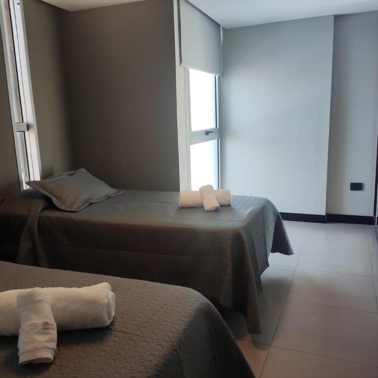 Comfort and Location - Two-Bedroom Deluxe Apartment - 16