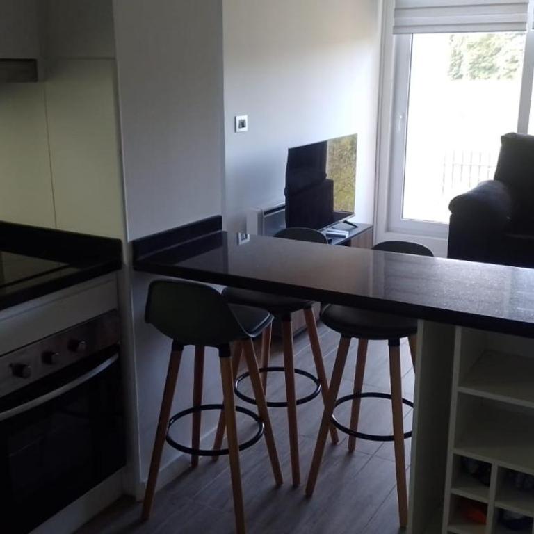 Departamento Céntrico Valdivia,Isla Teja - Two-Bedroom Apartment - 5