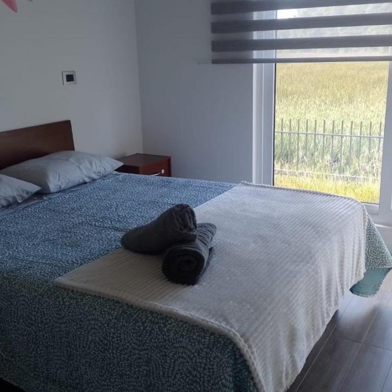 Departamento Céntrico Valdivia,Isla Teja - Two-Bedroom Apartment - 1