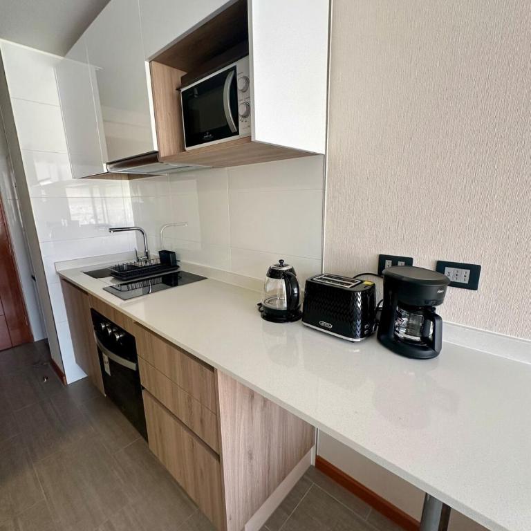 Departamento nuevo a pasos de la cavancha, sector Peninsula - One-Bedroom Apartment - 7