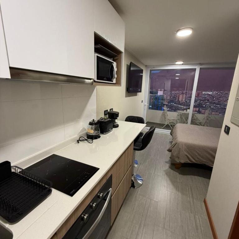 Departamento nuevo a pasos de la cavancha, sector Peninsula - One-Bedroom Apartment - 2