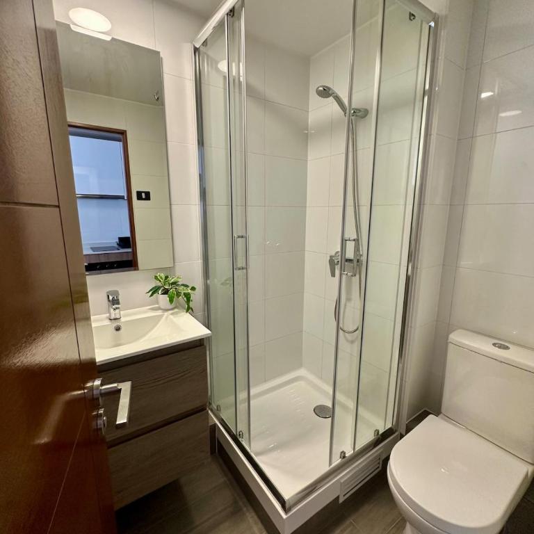 Departamento nuevo a pasos de la cavancha, sector Peninsula - One-Bedroom Apartment - 18