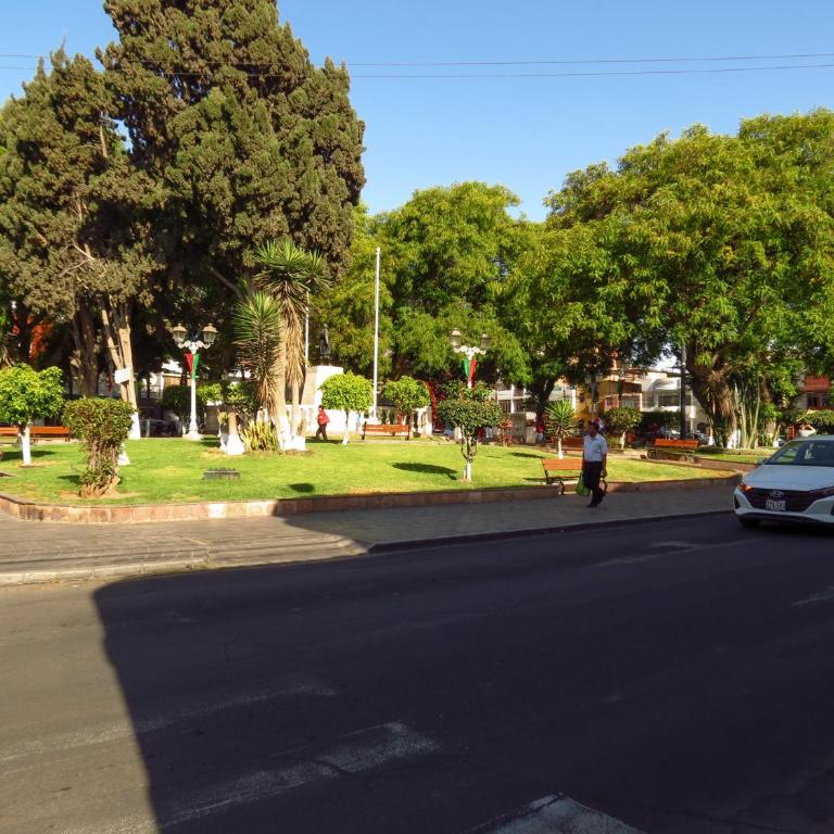 Departamento en cercado de Tacna - One-Bedroom Apartment - 18