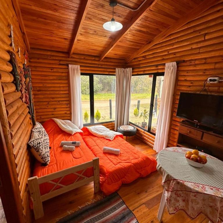 Cabañas en Concordia - Chalet de 1 dormitorio - 5