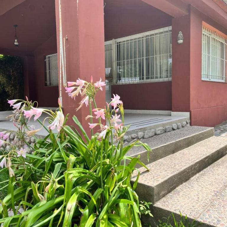 Rocco Housse - One-Bedroom House - 12