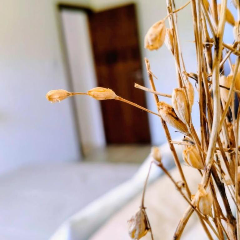 Oceana Casa de Mar - Casa de 2 dormitorios - 26