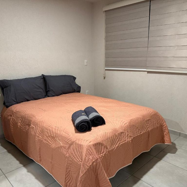 Depto nuevo cerca de H. Civil Viejo con A/C - Apartamento con terraza - 10