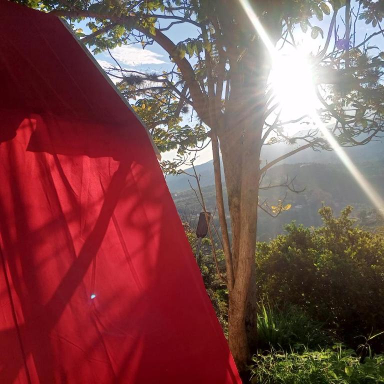 Cabaña tipi Ardilla Silvania Cundinamarca - Habitación Doble con vistas a la montaña - 1