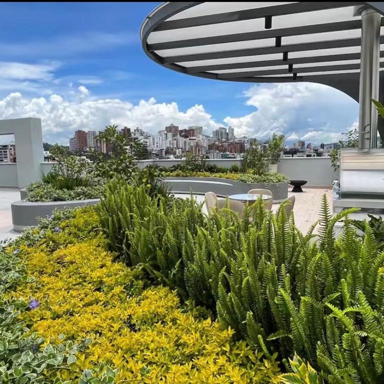 Bienvenidos a este estudio - One-Bedroom Apartment - 15