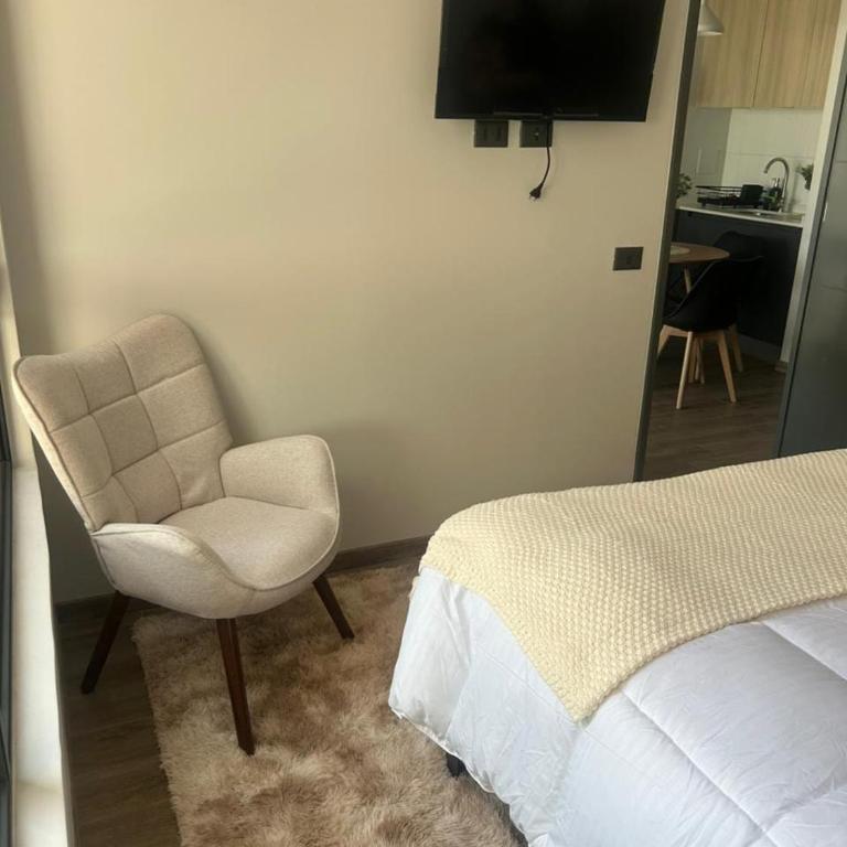 Increible departamento cercano al movistar arena - One-Bedroom Apartment - 3