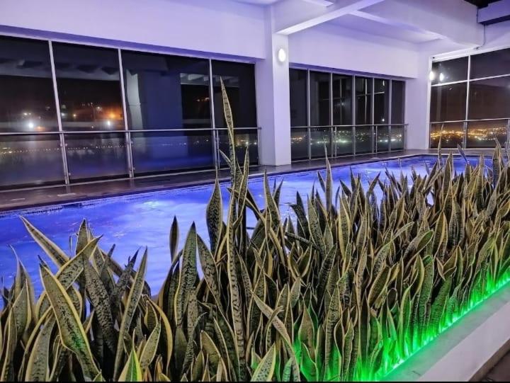 Departamento premium en Puerto santana - Apartamento de 1 dormitorio - 15