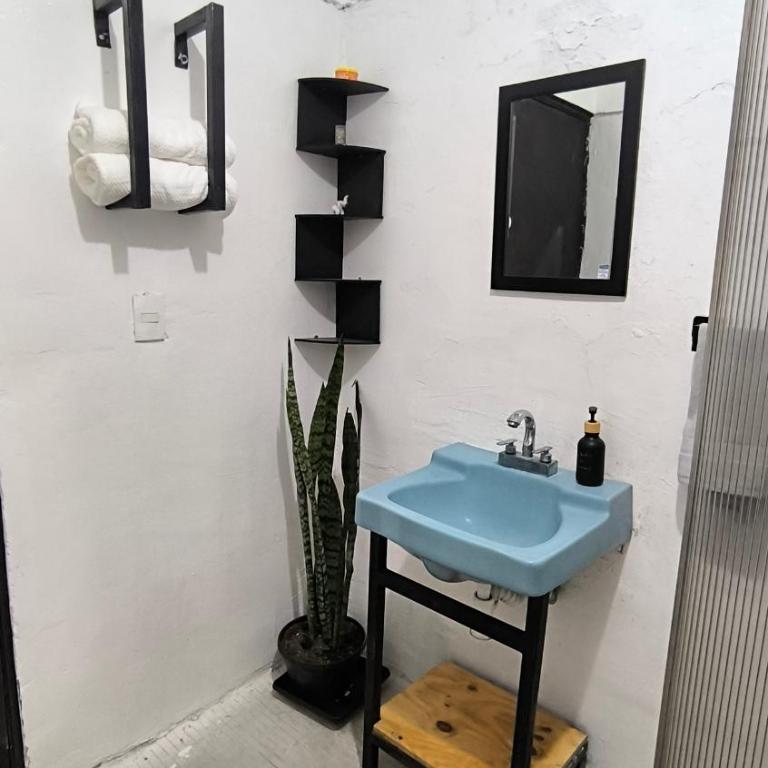 Jardines del bosque - Two-Bedroom Superior Apartment - 4