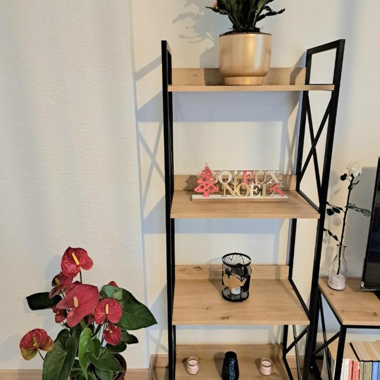 Appartement cosy Colmar centre avec parking - Appartamento con 2 Camere da Letto - 10
