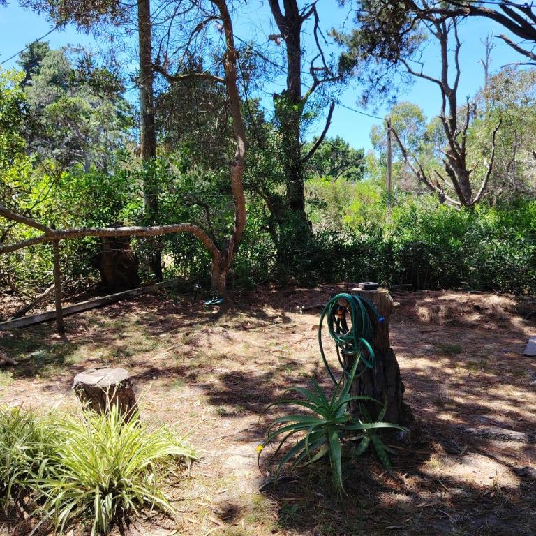 Mi pequeño Santuario - Casa con 1 dormitorio - 9