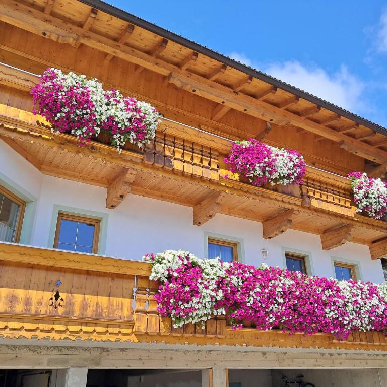 Haus Martin - Apartment mit 1 Schlafzimmer und Dusche - 12