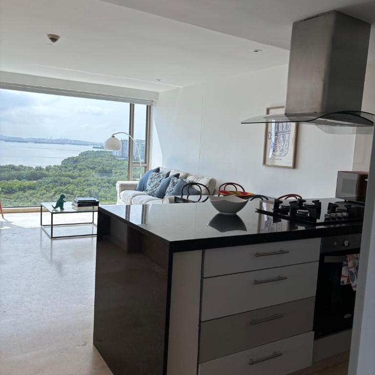 Beachfront Apartment at Radisson Hotel - Apartment with Lake View - 3